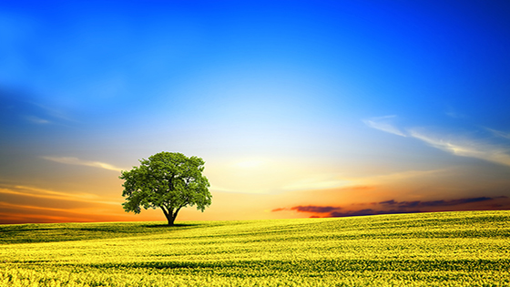 ������20���꡿������ͷ��ʮ�������ڲ�tengbo9885������Ϣ�Ժλ�ҵ������