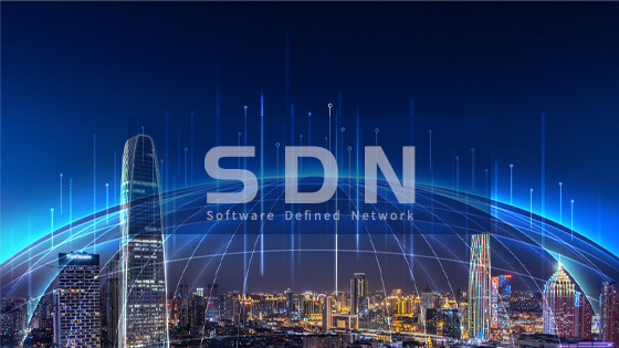 ������˵����