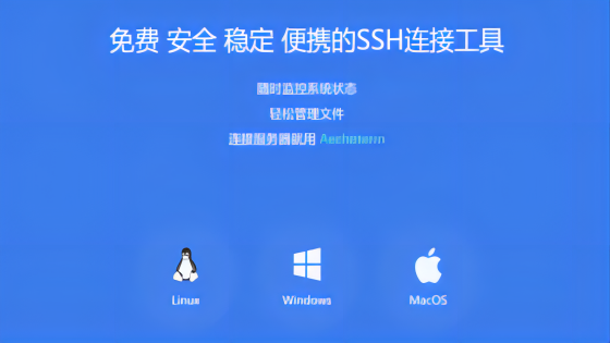 ��ƽ̨���ݵ�Զ���ն�ģ�⹤�ߡ���Aechoterm