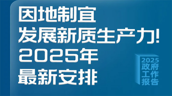 2025���������鱨�桪�������������������������